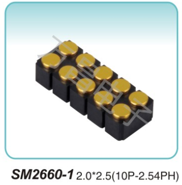 SM2660-1 2.0x2.5(10P-2.54PH)