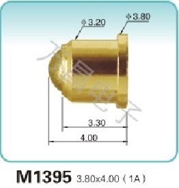 M1395 3.80x4.00(1A)