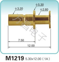 M1219 5.30x12.00(1A)