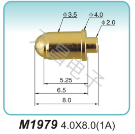 M1979 4.0x8.0(1A)