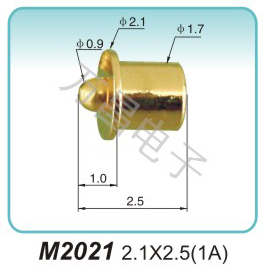 M2021 2.1x2.5(1A)