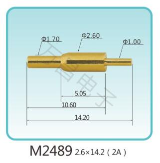 M2489 2.6x14.2()2A
