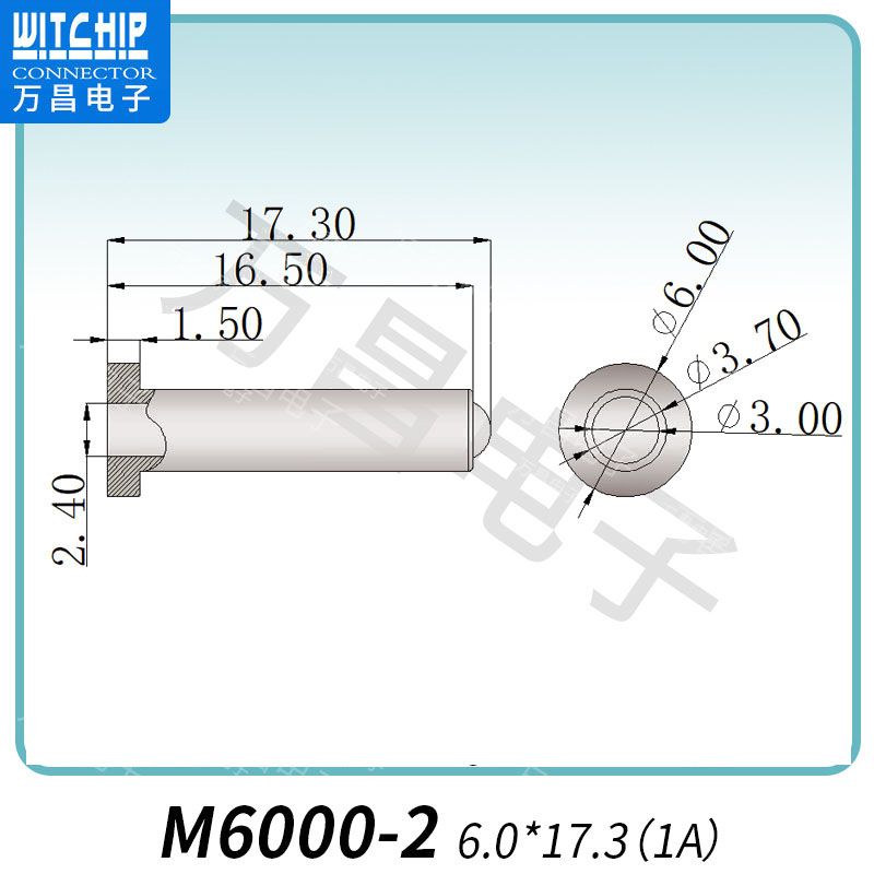M6000-2 6.0×17.3（1A） 导液针