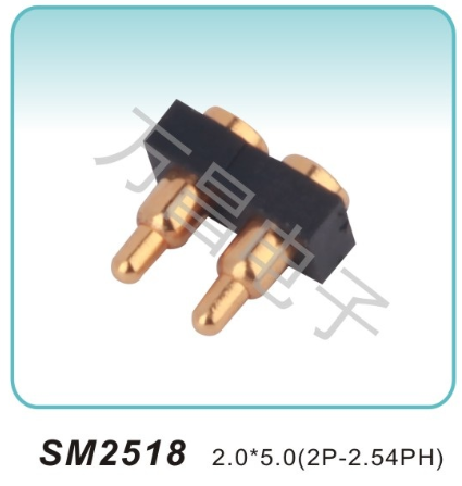 SM2518 2.0x5.0(2P-2.54PH)